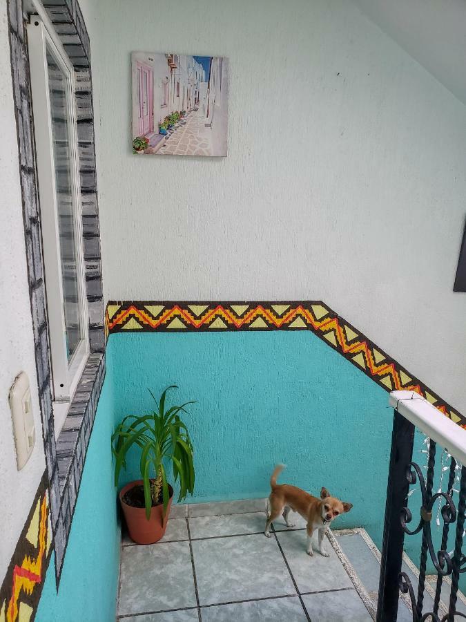 Posada Paso Del Sol Isla Mujeres Exterior foto